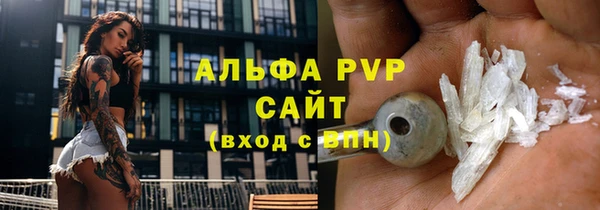 стаф Медногорск
