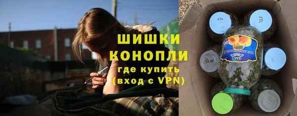 прущие грибы Мегион