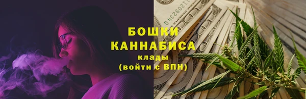 стаф Медногорск