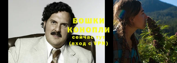 прущие грибы Мегион
