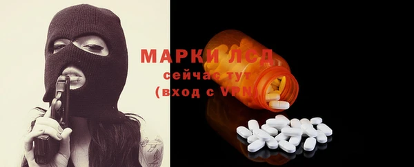 стаф Медногорск