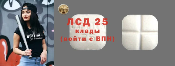прущие грибы Мегион