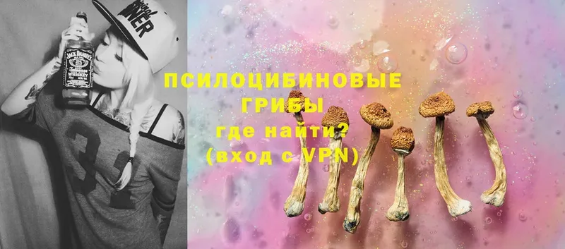 Псилоцибиновые грибы Cubensis  блэк спрут ссылки  Никольск  купить  сайты 