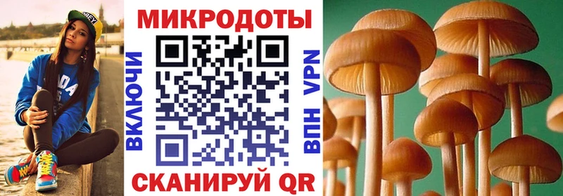 Псилоцибиновые грибы MAGIC MUSHROOMS Никольск